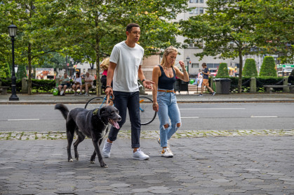 Young couple walking a large dog in Central Park