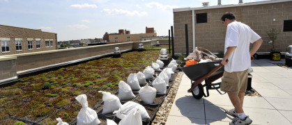 A roof garden on a Bronx apartment building