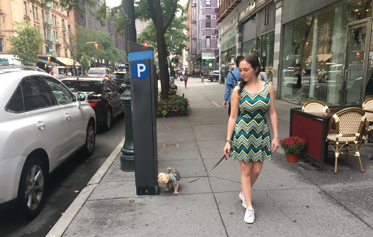 how much do dog walkers in nyc make