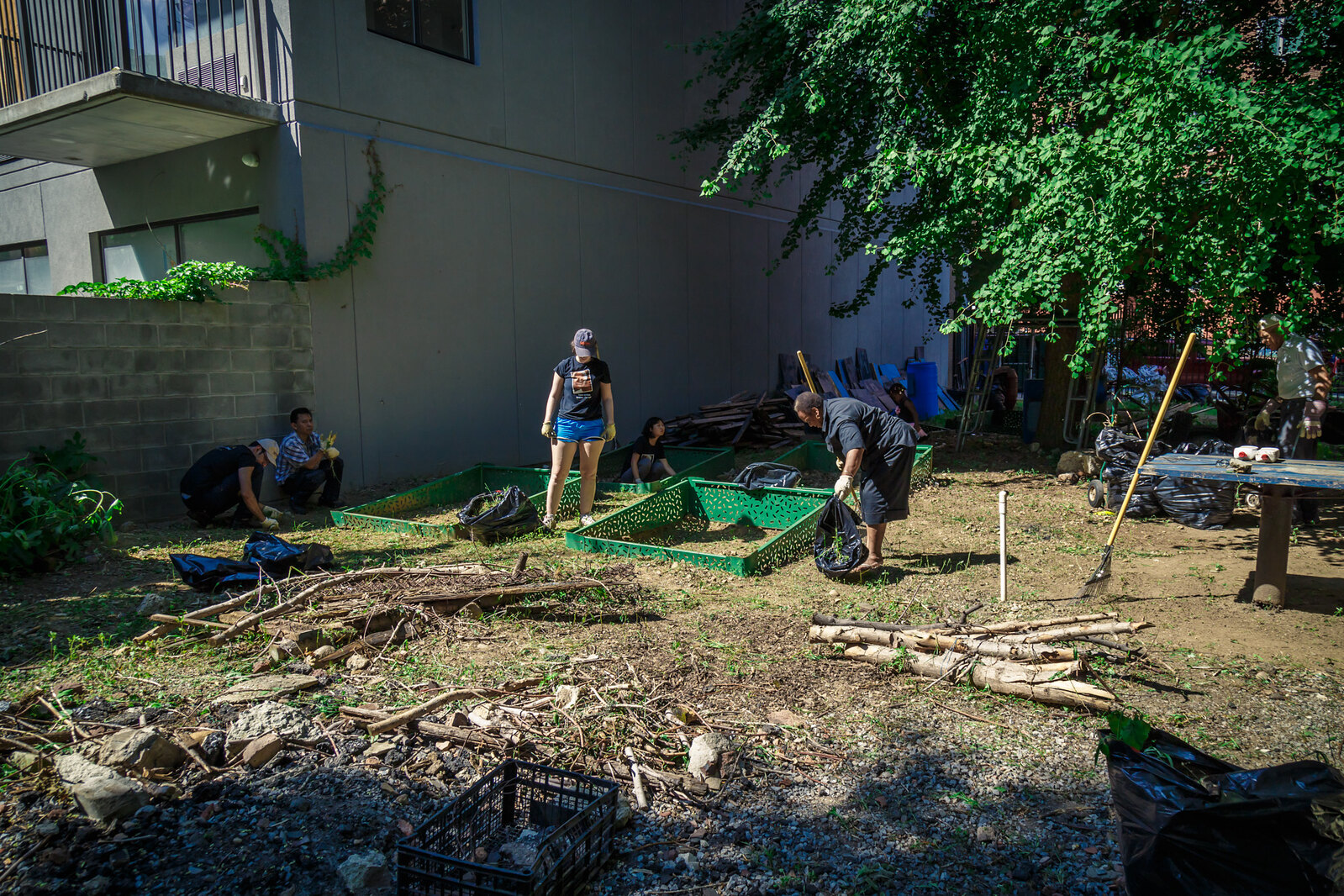 Want to plant some trees on your NYC building's rooftop? There are a ...