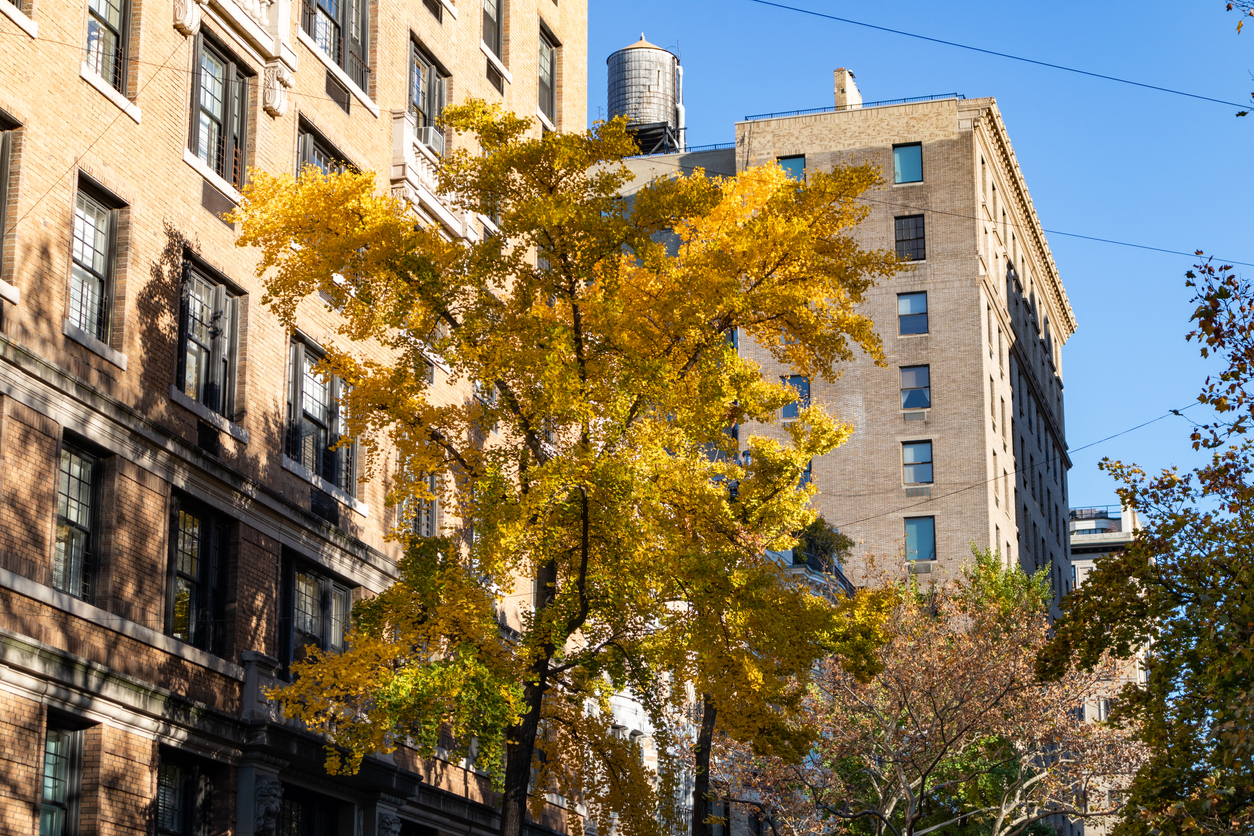 how-to-rent-in-nyc-as-a-foreign-national