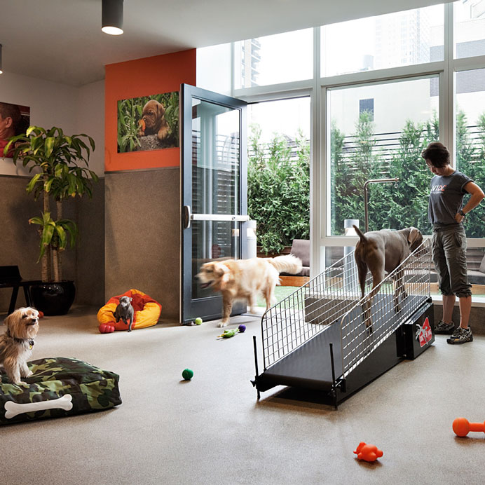 Must love dogs 6 luxe, petfriendly rentals in NYC