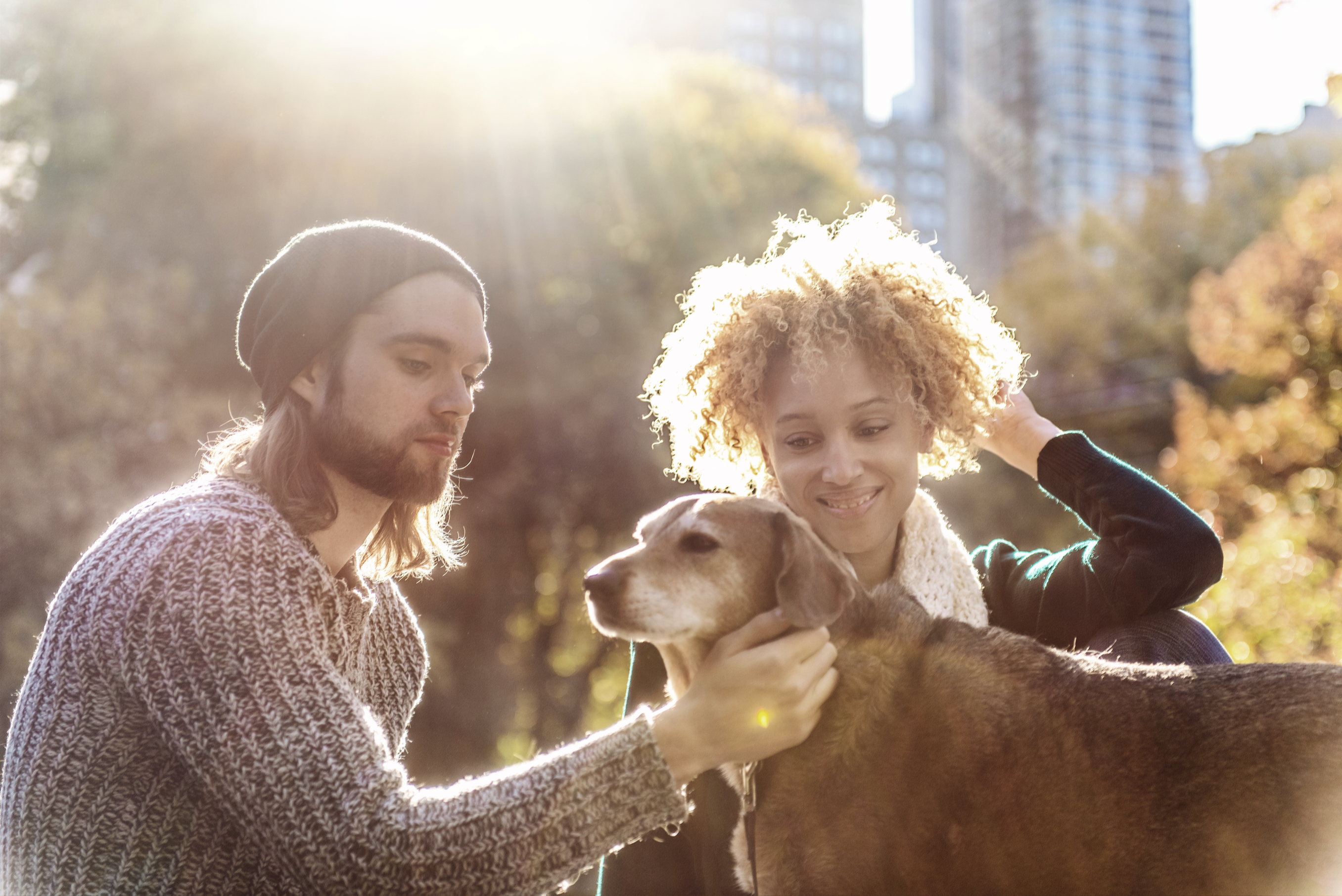 Having pets in New York City—Brick Underground's best advice