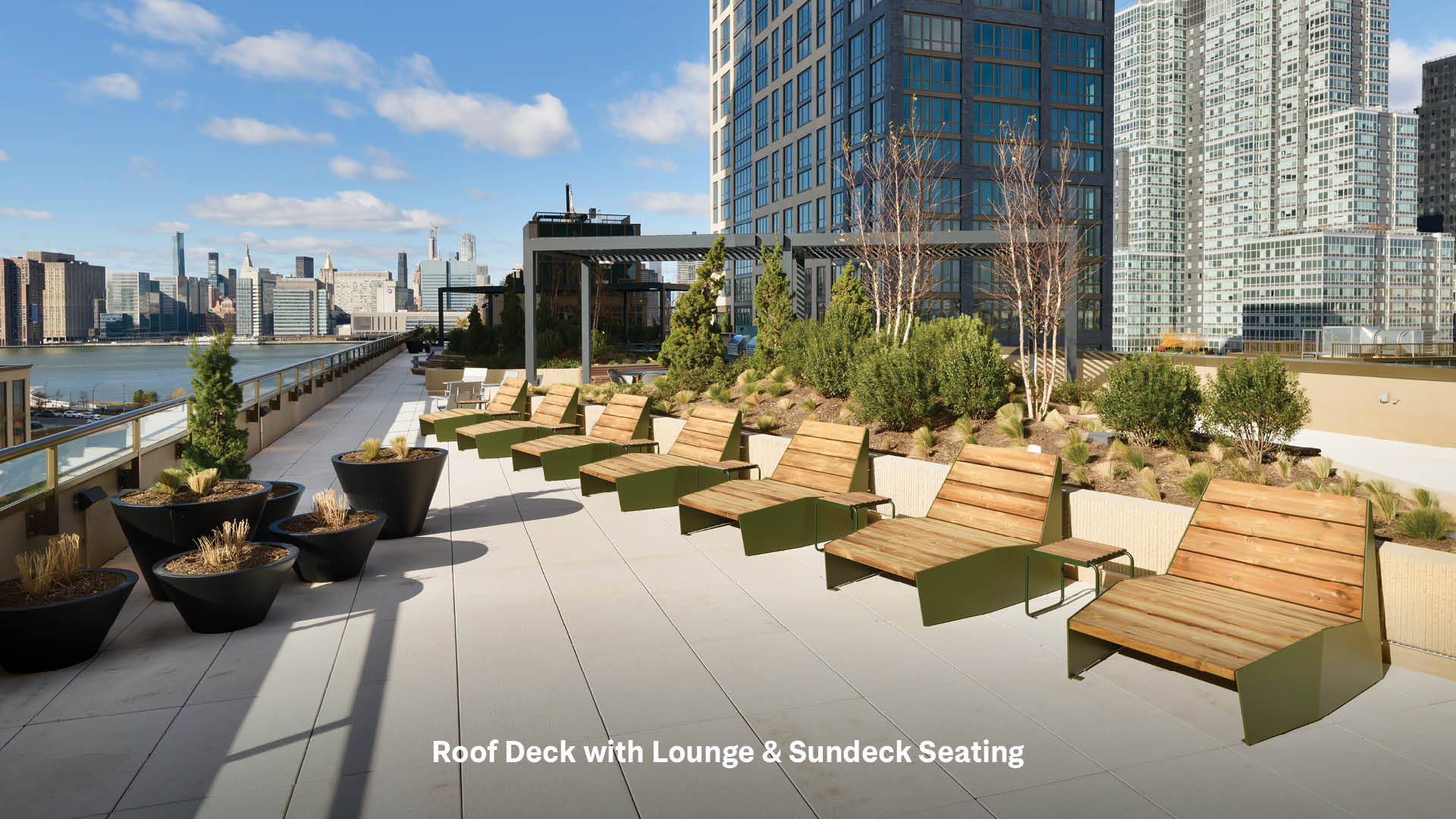 Roof Deck with Lounge & Sundeck Seating