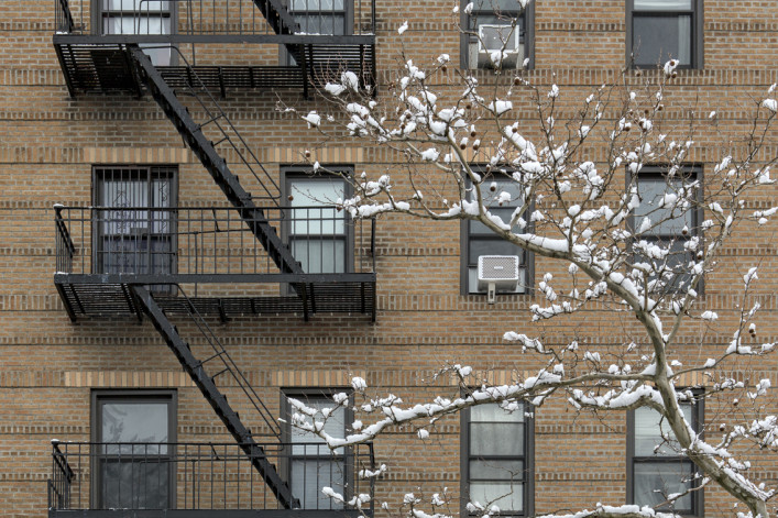 Snow covered tree in front of tall brick apartment building (high rise residential home) with fire escape, windows, snowing, winter in brooklyn new york city stock photo