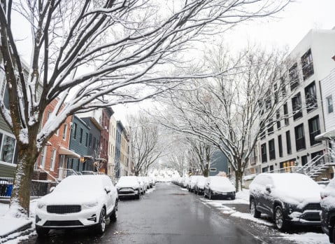 Snow Covered Cars Parked in Brooklyn New York