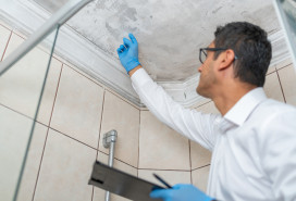 insurance adjuster inspecting mold