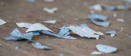 paint chips on hardwood floor